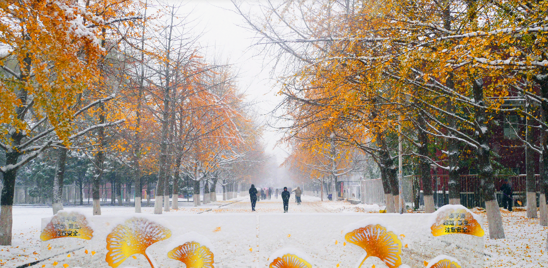 1703596413756882.png 360截圖20231226211314623.png